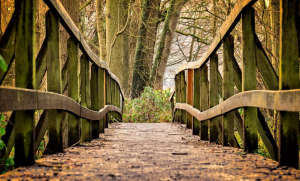 Outdoor Activity Price, UT